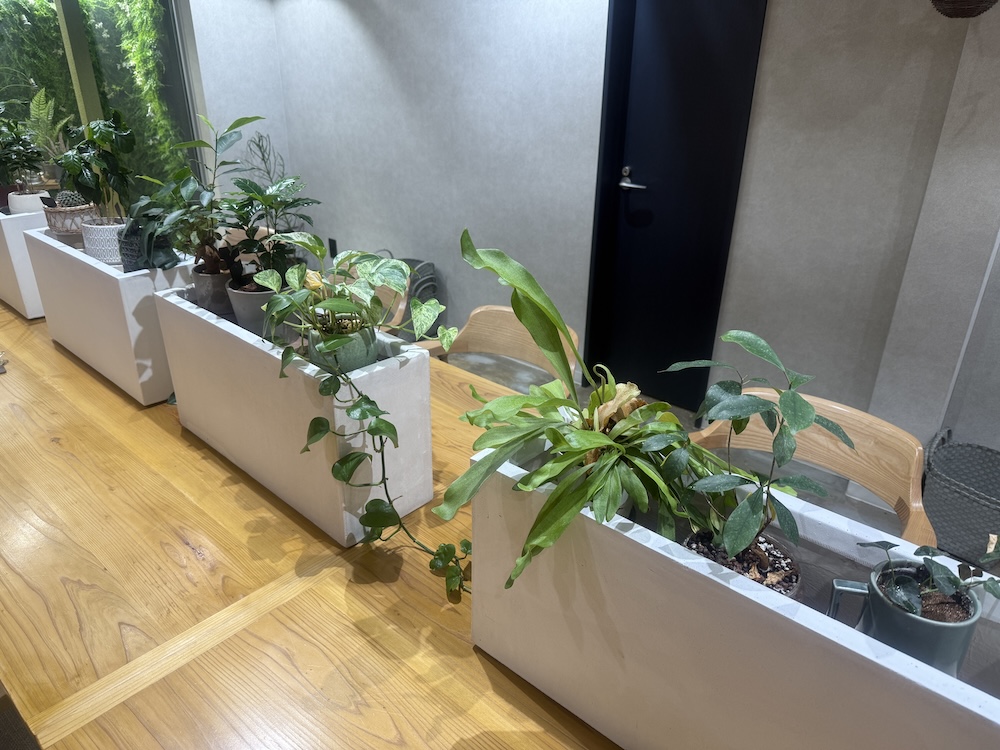 1階のカフェスペース